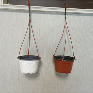 Cesta colgante para exteriores, cesta colgante para <span class=keywords><strong>Epipremnum</strong></span> <span class=keywords><strong>Aureum</strong></span> y Chlorophytum - Product Image 2