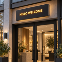Enseigne lumineuse LED découpée sur mesure GOZONE pour entrée de magasin