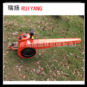 Soplador Manual Ruiyang 6MF-32 de Alta Potencia, Equipo de Extinción de Incendios para Uso en Exteriores - Product Image 2