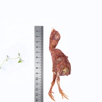Friandises pour animaux de compagnie : Poulet lyophilisé en vrac pour poussins, riche en protéines, sans céréales, pour digestion sensible, santé de la peau et du pelage