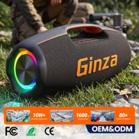 Neues Fabrikmodell 130W Outdoor-Lautsprecher für Unterhaltung im Freien mit RGB-Beleuchtung und TF-Karten-Unterstützung