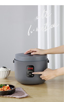 Cuisinière à riz multifonctionnelle nouvelle conception 2026, 3L, professionnelle, écran tactile, électrique, pour la maison
