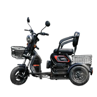 Tricycle électrique neuf d'usine à 3 roues, moteur 600W, pour familles, batterie 48V/60V/20AH, tricycle électrique élégant pour passagers