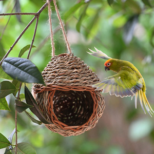 Nid d'oiseau en paille tissé à la main, 9x9x16 cm, rond, décoration de jardin extérieur avec corde, ornement suspendu pour oiseaux - Product Image 1