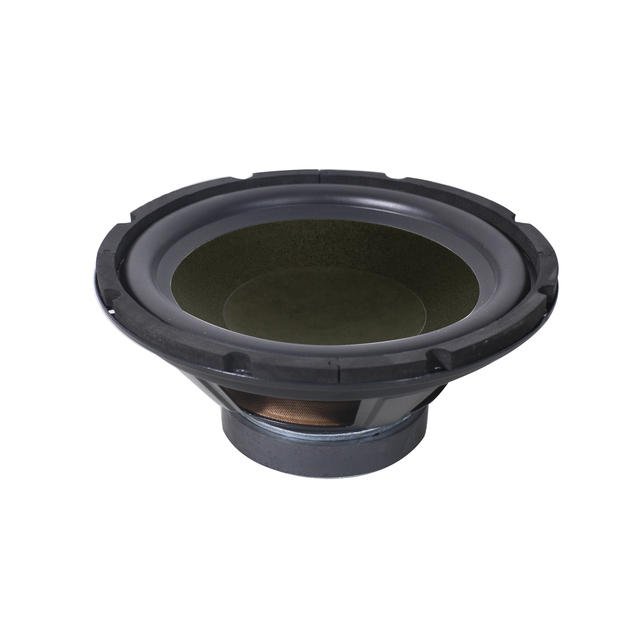 10 Inch Big Power Subwoofer Speaker Driver with Cheap Price