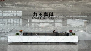 Liwang عالية التردد e55 Flyback نوع الفريت الأساسية الكلور مستو محول الإدراج المباشر THT عالية الحالية المحولات القديمة - Product Image 5