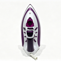 Fer à vapeur électrique pour vêtements en acier inoxydable, vapeur puissante, température réglable, anti-goutte, autonettoyant, design compact pour voyage