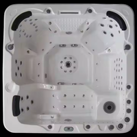 Système de contrôle Balboa pour bain à remous extérieur et piscine