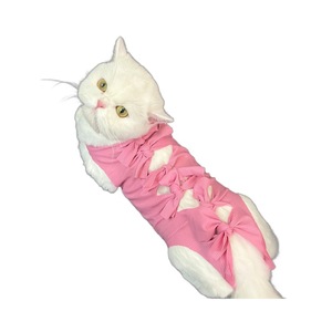 Vêtement de Stérilisation pour Chat : Gilet Anti-Léchage à Motif Fraise en Polyester, Design Adorable, Vêtement Post-Opératoire pour Chats - Product Image 5