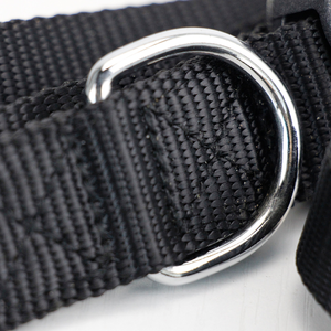Collares para Mascotas de Nailon y Poliéster Personalizados al por Mayor, Cinturones de Adiestramiento para Perros, Cuerdas de Tracción para Mascotas - Product Image 3
