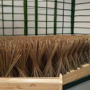 ไม้กวาดหวายน้ำหนักเบาสำหรับใช้งานกลางแจ้ง หัวไม้กวาด PP ทนทาน พร้อมที่โกยผงไม้ สำหรับทำความสะอาดบ้าน บรรจุภัณฑ์พร้อมใช้งาน - Product Image 5