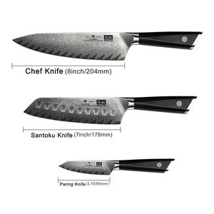 <span class=keywords><strong>SHAN</strong></span> <span class=keywords><strong>ZU</strong></span> GYO série 3 pièces damas japonais en acier VG-10 <span class=keywords><strong>Chef</strong></span> <span class=keywords><strong>Santoku</strong></span> <span class=keywords><strong>couteaux</strong></span> à éplucher cuisine <span class=keywords><strong>Chef</strong></span> couteau ensemble avec poignée G10 - Product Image 2