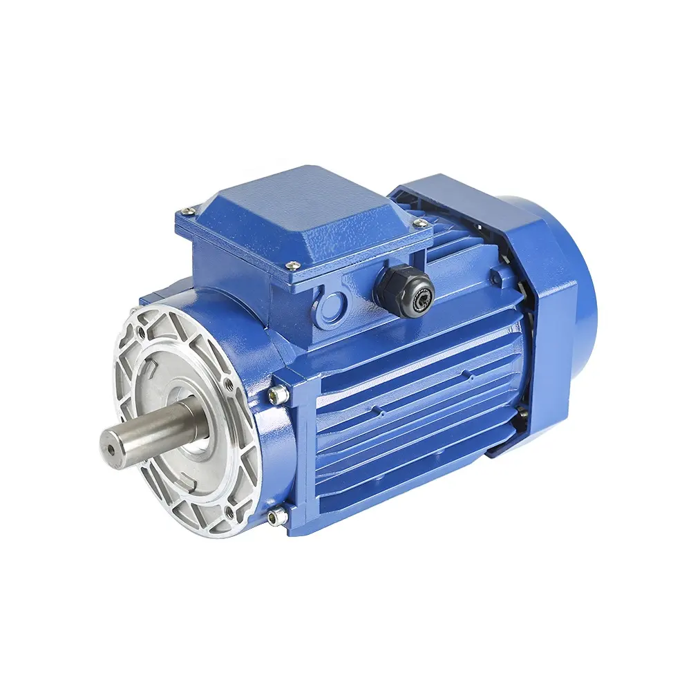 Y2 Series Three Phase Asynchronous Electric Motor Supplier