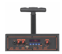 Haut-parleur passif de 12 pouces pour home cinéma, 5.0 20W sans fil, avec télécommande LED RGB, karaoké, prise en charge de 2 micros
