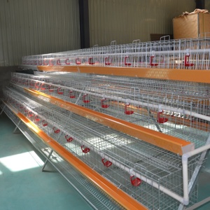 5 Tier 200 kuşlar tavuk tavuk kafesi döşeme