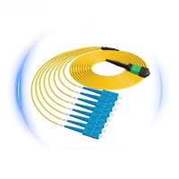 Kabel Breakout MPO 24 LC 1m 12 Core MPO ke SC, Kabel Patch Fiber Multimode OM4 100g, Panel Patch Fiber Optik MPO untuk Pusat Data
