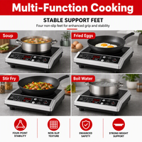 Cuisinière à induction commerciale de comptoir, résistante à l'eau IPX4, avec panneau en verre cristal noir sans joint, 3500W, prix d'usine