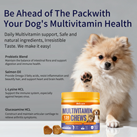 Tablet Multivitamin Kunyah untuk Anjing & Kucing dari Pabrik, dengan Minyak Ikan & Vitamin E, Penyerapan Cepat & Aman untuk Semua Tahap Hidup