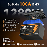 Batterie LiFePO4 12V 100Ah Groupe 31 avec BMS 100A intégré, durée de vie 6000 cycles, rechargeable, pour systèmes solaires, VR, applications marines et fourgons