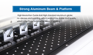 Impresora Digital de sublimación, textil para imprimir en tela de algodón con bandera - Product Image 5