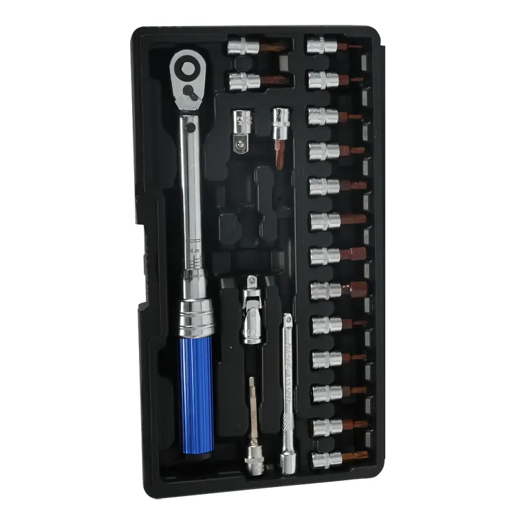 Essential Precision 1/4IN 5-30Nm Torque Wrench Tool Set 21pcs For Cycling Bike Repair & Maintenance