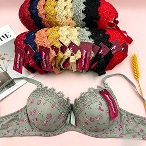 Sujetador Push-Up con Encaje y Estampado Floral para Mujer, Talla Grande 38-44B, con Soporte Cómodo y Aros, Venta al Por Mayor, AS002, 1.3 Dólares - Product Image 1