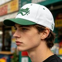 Gorra de Béisbol Bordada de Dos Tonos con Visera Curva Ajustable, Estilo Urbano, con Contraste de Color, para Hombre y Mujer