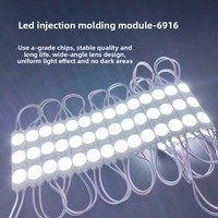 Module LED extérieur à puce de marque, blanc froid 12V 7000K, pour enseignes lumineuses, boîtes à lumière, moulage par injection, publicité, garantie 2 ans