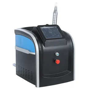 Snelle Levering Draagbare Mini Pico Tweede Laser Picosecond Tattoo Removal Machines