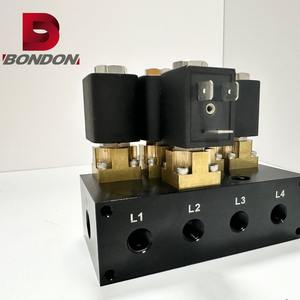 Ensemble de vannes de commande en laiton personnalisées, durables, à 2 et 3 voies, pour la purification de l'eau - Product Image 2