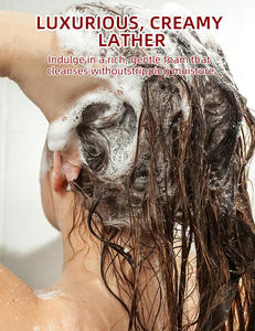 SHAMPOOING APASSEUR ET REGULATEUR DE SEBO PROPREMENT CONÇU POUR LES ADOLESCENTS, AUX INGRÉDIENTS NATURELS POUR CUISSONS SENSIBLES (Liquide) - Product Image 5