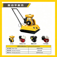 Compacteur à plaque vibrante à essence, rouleau compresseur d'asphalte, machine de compactage par vibration : les ventes sont en forte croissance en Chine.