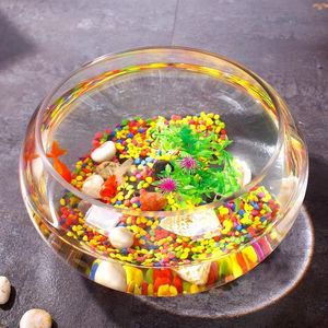 Petit aquarium en verre épais pour salon, transparent, adapté à un usage domestique, culture hydroponique de lotus, bureau - Product Image 3