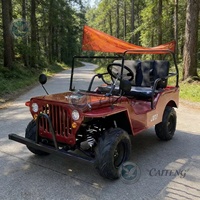 Mini Jeep 125cc 110cc 150cc à essence, Buggy des dunes, Voiture électrique pour enfants, Moto 2 places, Mini jeep tout-terrain - Fournisseur Chine