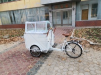 Chariot alimentaire hot dog voiture de jus camion de glace remorque alimentaire personnalisée chariot de nourriture mobile conception e vélo