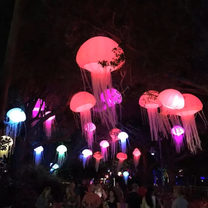 Colorful Inflatable Underwater Shapes Animal <strong>Jellyfish</strong> Inflatable <strong>Costume</strong> <strong>Jellyfish</strong> Balloon <strong>with</strong> LED <strong>Light</strong> - Product Image 1