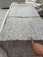 Prix compétitif, marches en granit poli G602, marches en granit gris avec antidérapant