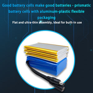 Bateria de Polímero de Lítio 24V 10000mAh com Display de Energia - Cabo DC Incluído para Dispositivos Industriais e Externos de 24V - Product Image 4