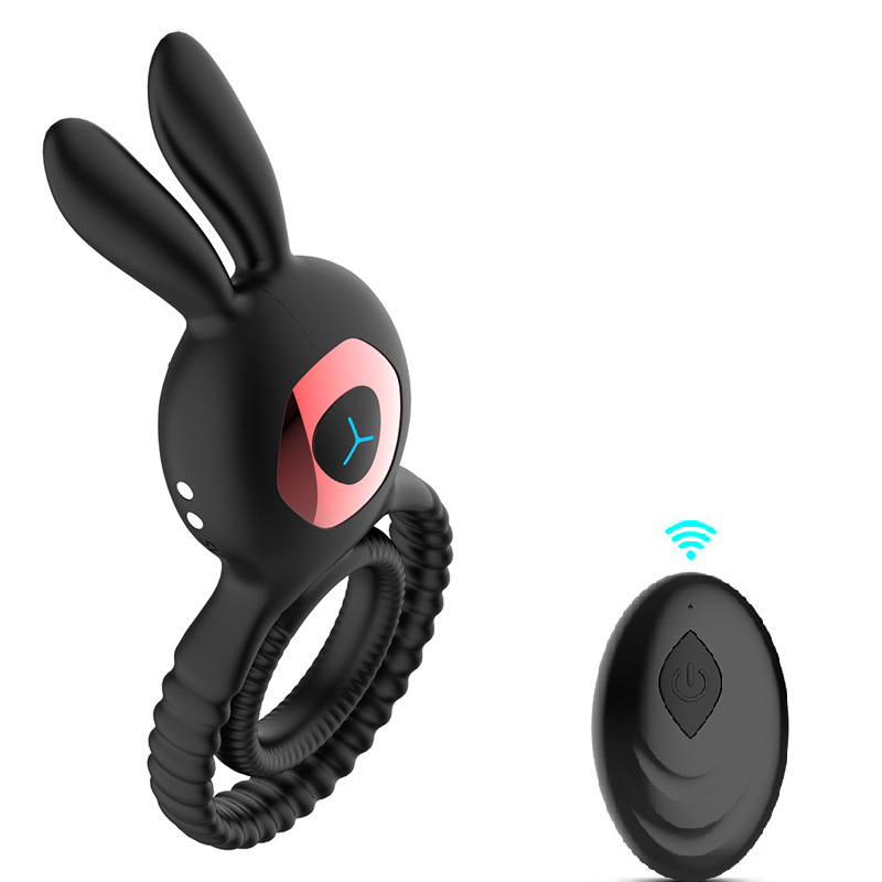 Remote control model