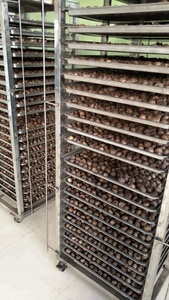 Machine industrielle de fermentation de l'<span class=keywords><strong>ail</strong></span> <span class=keywords><strong>noir</strong></span>, capacité de 200 kg à 1000 kg pour une production à grande échelle - Product Image 4