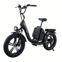 Vélo électrique style cyclomoteur 48V 50Ah avec double batterie, Fatbike 20"X4.0, Vélo électrique 250W, Vélo électrique 750W, Vélo de livraison, Vélo électrique à pneus larges