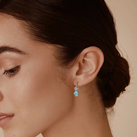 Siap Kirim Perhiasan Fashion Lucu 6.5mm Moissanite Biru & 3mm Moissanite Putih Perak 925 Anting Gantung Model Daun untuk Wanita