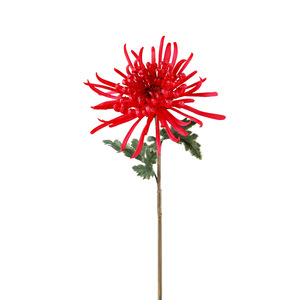 Fleur décorative d'intérieur en caoutchouc souple, chrysanthème rouge haute simulation, pour mariage et décoration de la maison - Product Image 1