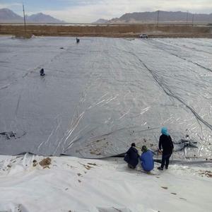 Doublure d'étang en polyéthylène géomembrane d'aquaculture de haute qualité, bâche en Hdpe - Product Image 6