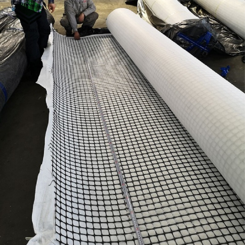 Оптовая продажа высокое качество полиэфирное волокно сетка геосетка для строительства