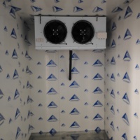 Panneaux de chambre froide avancés congélateur sans rendez-vous système de refroidissement chambre froide pour le stockage de la volaille