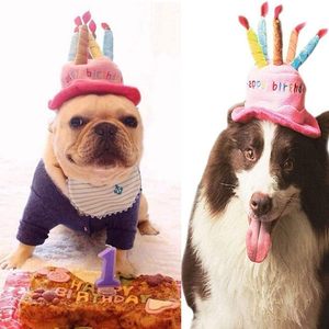 Sombrero de cumpleaños para perro o gato con 5 velas de colores, talla única, accesorio suave para fiestas de mascotas - Product Image 4
