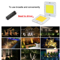 Puce LED COB 200W 100W 50W 30W 20W 10W Modules LED Lampe Carrée Haute Puissance Puce COB pour Projecteur DIY Lumière Inondante
