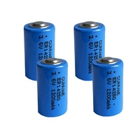 Batterie au lithium 1/2AA ER14250 3,6V 1200mAh pour PLC CNC Appareils électroménagers Jouets Électronique grand public et outils électriques Certifiée