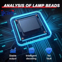 Venta Caliente de Fábrica: Luces LED para Coche Serie D de 55W y 110W, Súper Brillantes 6000LM y 12000LM (D1S, D2S, D3S, D4S, D5S, D1R, D2R, D3R, D4R)